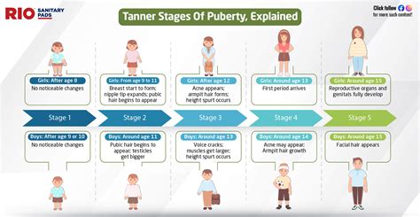 young boner|Stages of Puberty Explained in Pictures